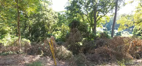 45 Acre Payne St, Tryon, NC 28782 photo 3