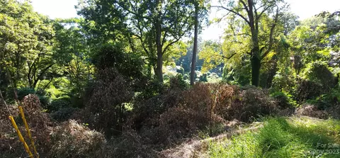 45 Acre Payne St, Tryon, NC 28782 photo 4