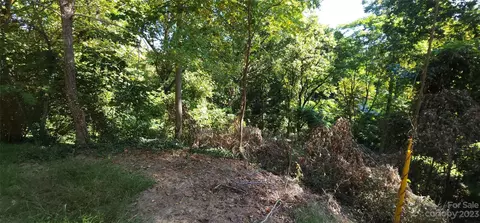 45 Acre Payne St, Tryon, NC 28782 photo 5