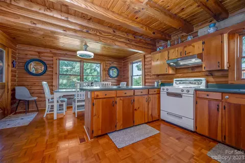 101 Mayfield Ln, Tryon, NC 28782 photo 14
