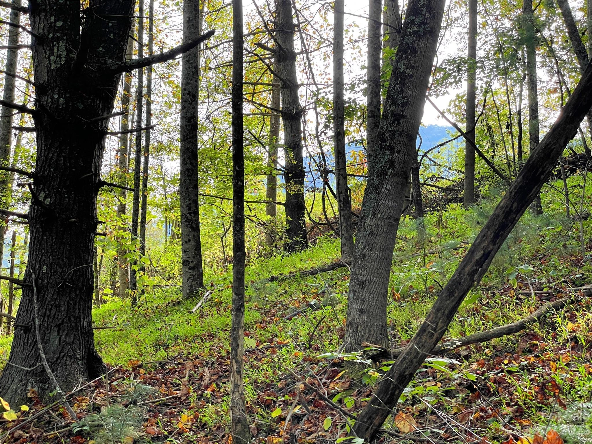 00 Lambent 2 Ln Unit 2