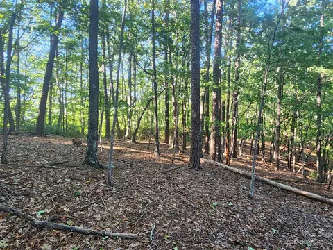 Wilkerson Court, Lake Lure, NC 28746