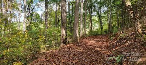 00 Dodder Ln, Cullowhee, NC 28723 photo 5