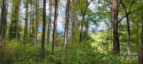 00 Dodder Ln, Cullowhee, NC 28723 photo 10