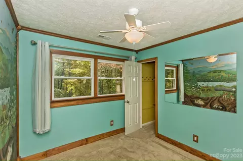 38 Boxturtle Rd, Candler, NC 28715 photo 20