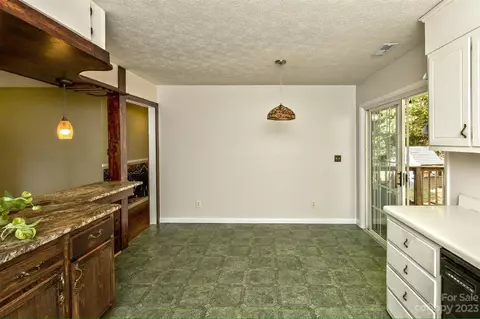 38 Boxturtle Rd, Candler, NC 28715 photo 10