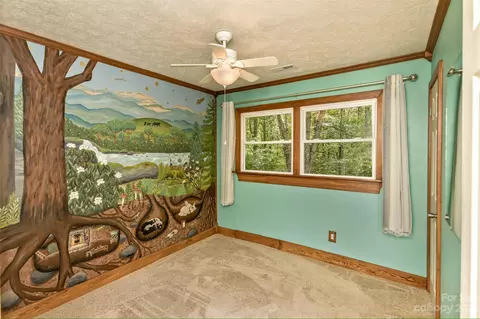 38 Boxturtle Rd, Candler, NC 28715 photo 17