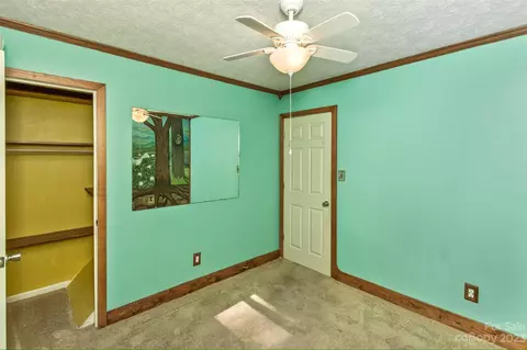 38 Boxturtle Rd, Candler, NC 28715 photo 18