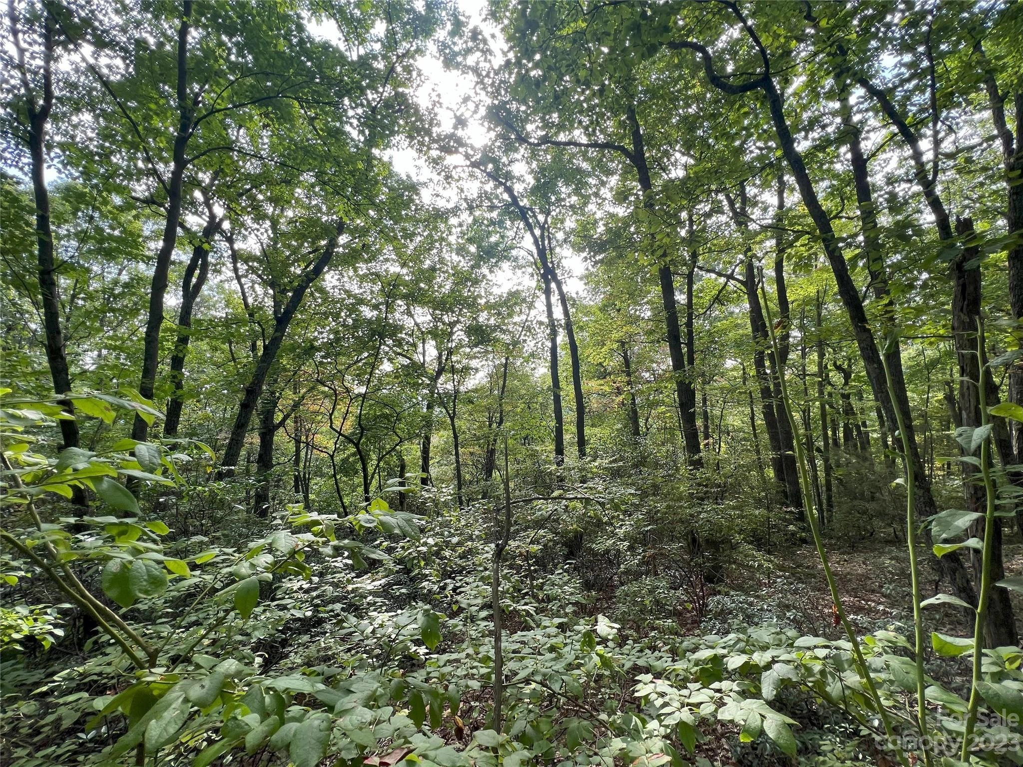 999 Hickory Nut 390 Ln Unit 390