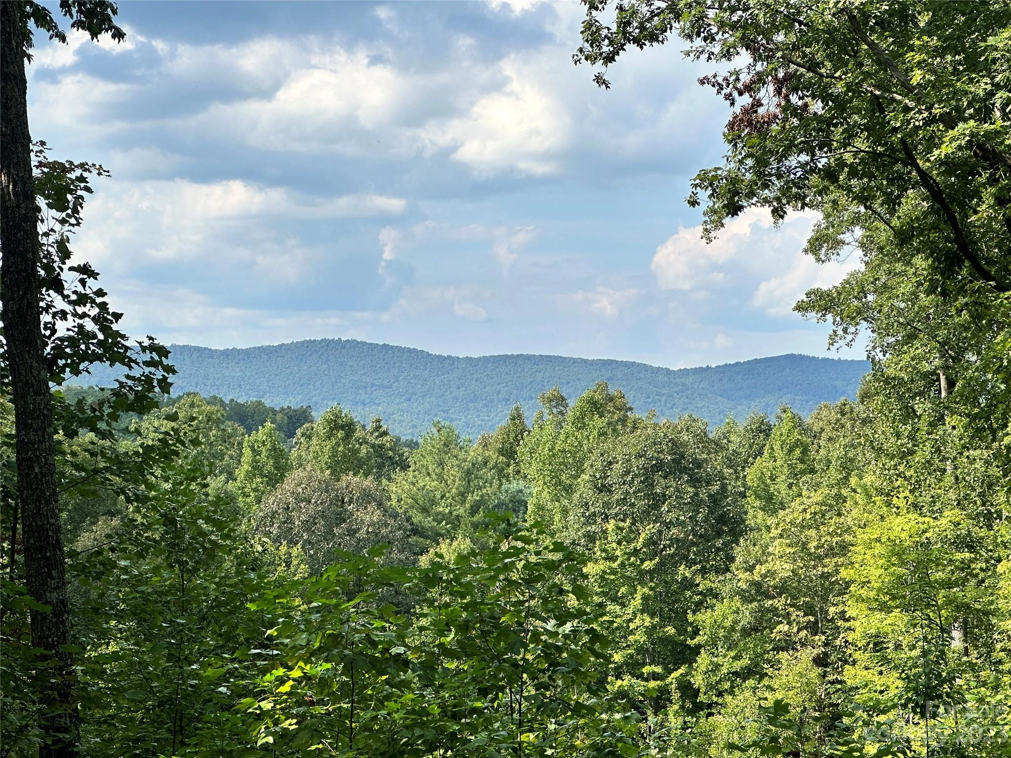 34 Towering Oaks 533 Dr Unit 533  