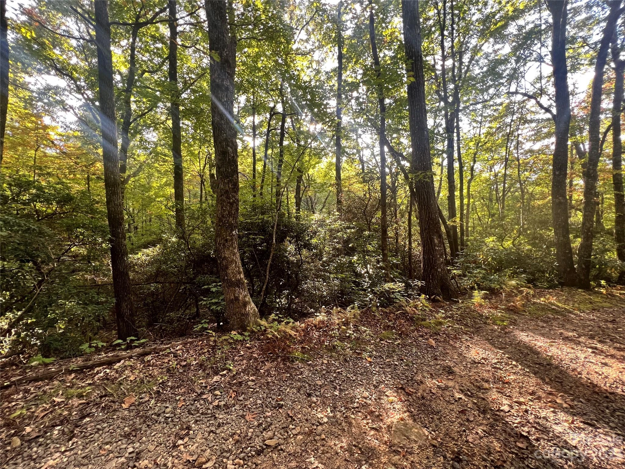 93 Full Moon 2 Trl Unit 2  