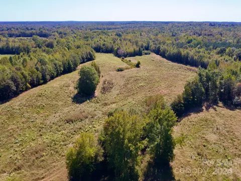 0 Lowrys Rd, Gaffney, SC 29340 photo 4