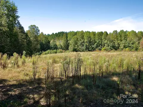 0 Lowrys Rd, Gaffney, SC 29340 photo 33