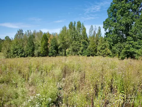 0 Lowrys Rd, Gaffney, SC 29340 photo 27