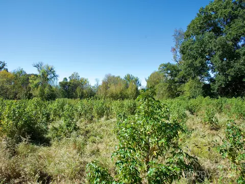 0 Lowrys Rd, Gaffney, SC 29340 photo 23