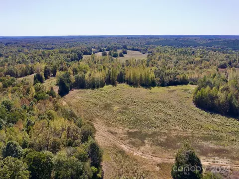 0 Lowrys Rd, Gaffney, SC 29340 photo 8