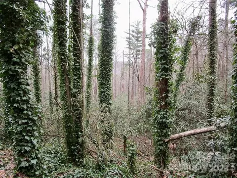 Toxaway Falls Drive, Lake Toxaway, NC 28747