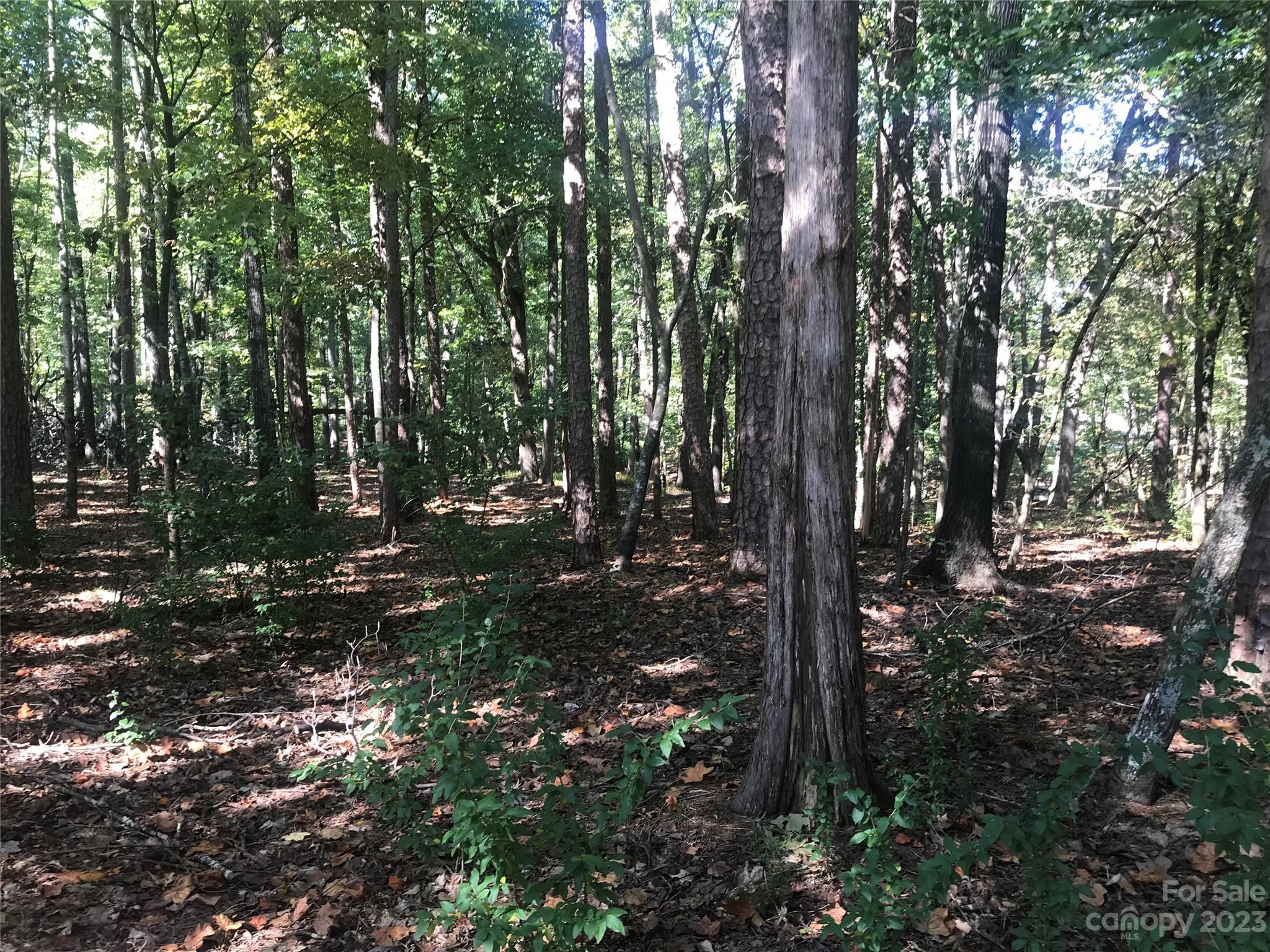 2336 Salute 41 Blvd Unit 41