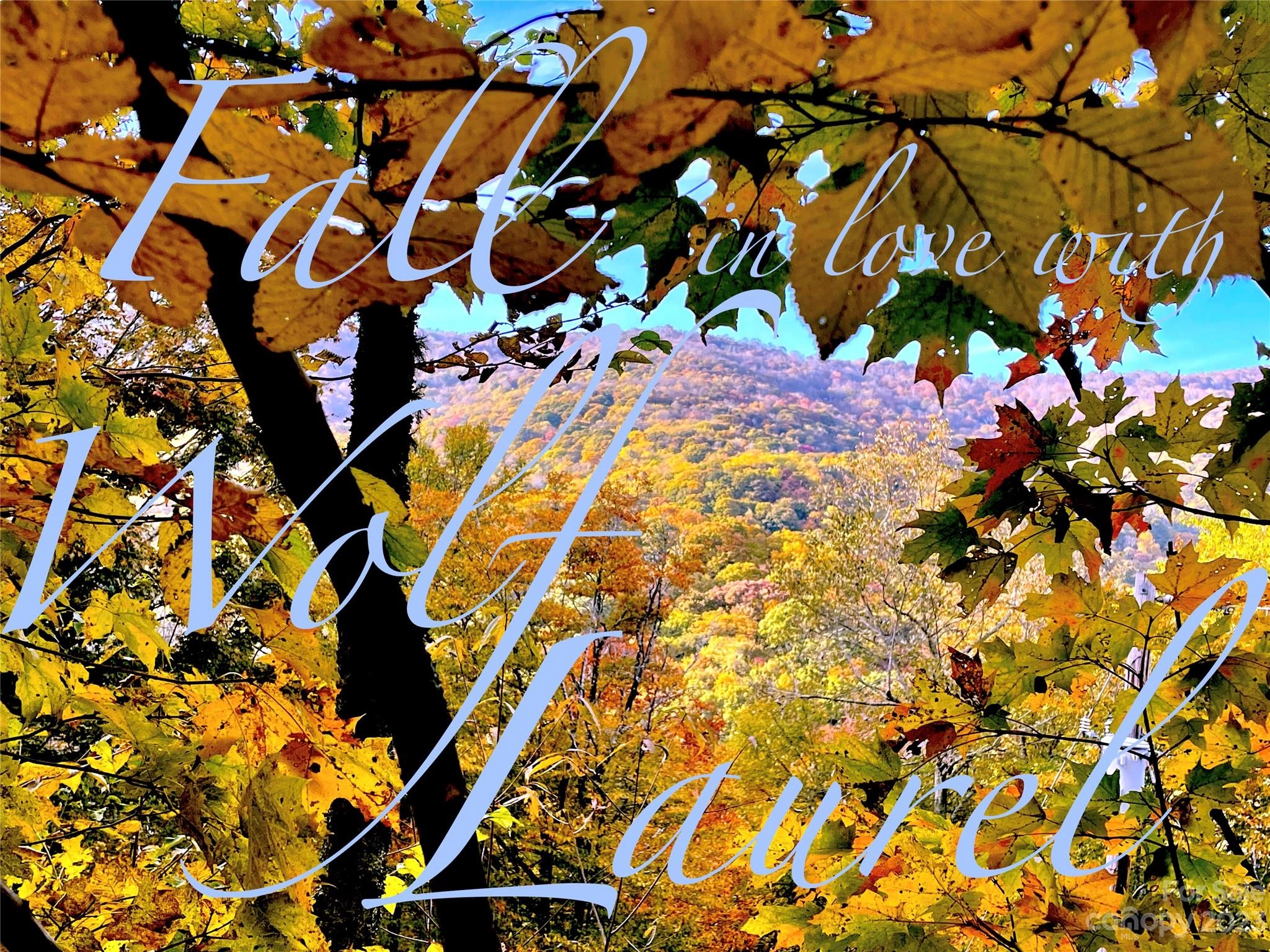 165 Puncheon 165 Ln Unit 165  