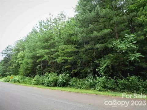 0 Chisholm 54 Trl #54, Rutherfordton, NC 28139