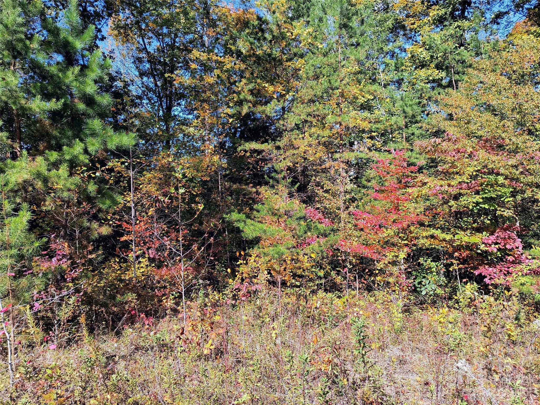 Nathan Mcdaniel 73/74 Dr Unit 73/74