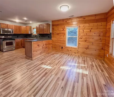 110 Pine St, Tryon, NC 28782 photo 7