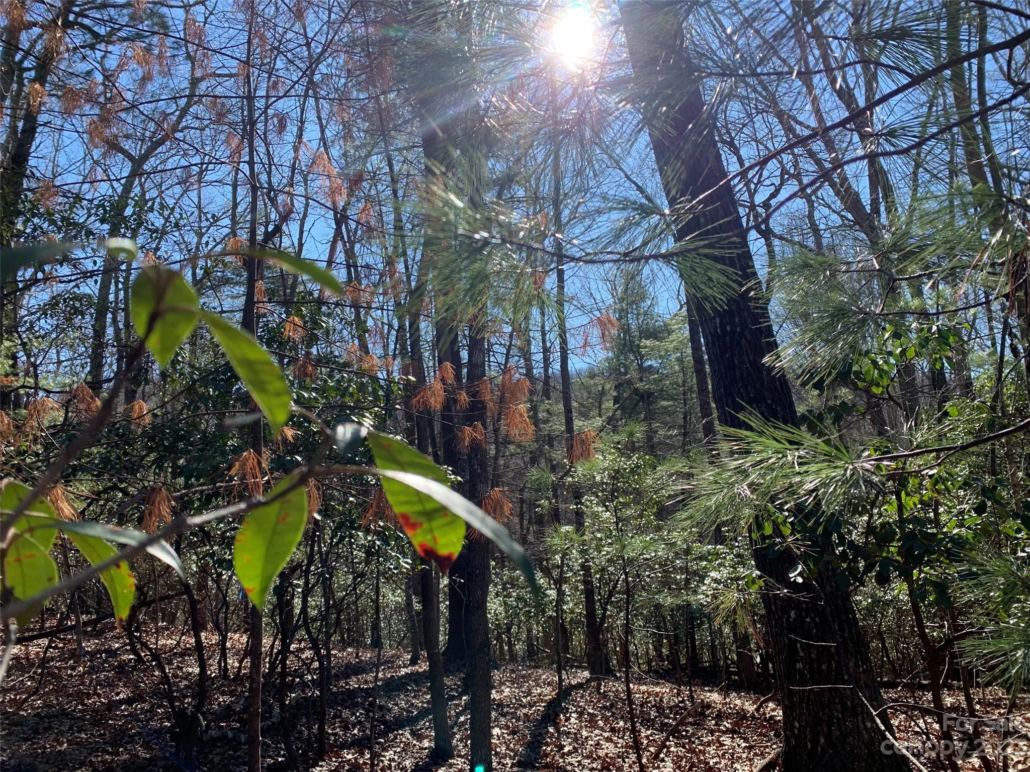 000 Timberlane 34 Dr Unit 34  