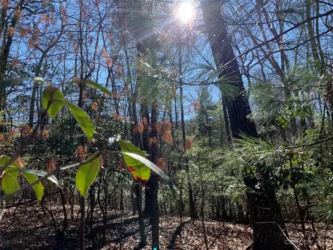 000 Timberlane 34 Dr #34, Pisgah Forest, NC 28768