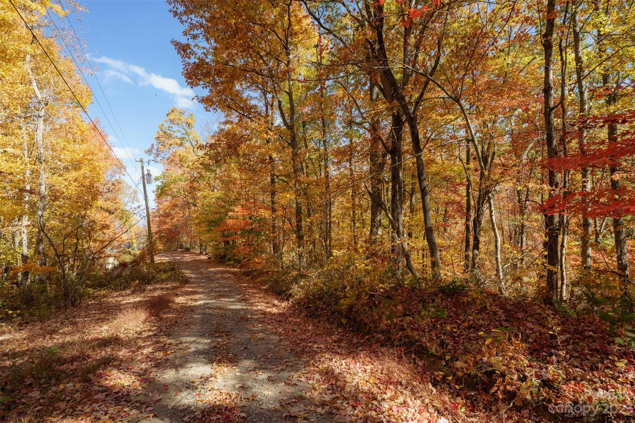 99999 Chestnut 21 Dr Unit 21