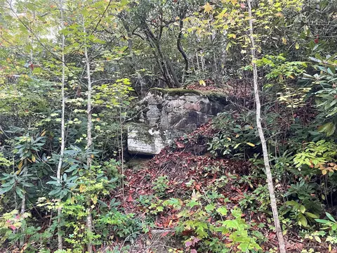 1121 Linville Dr, Marion, NC 28752