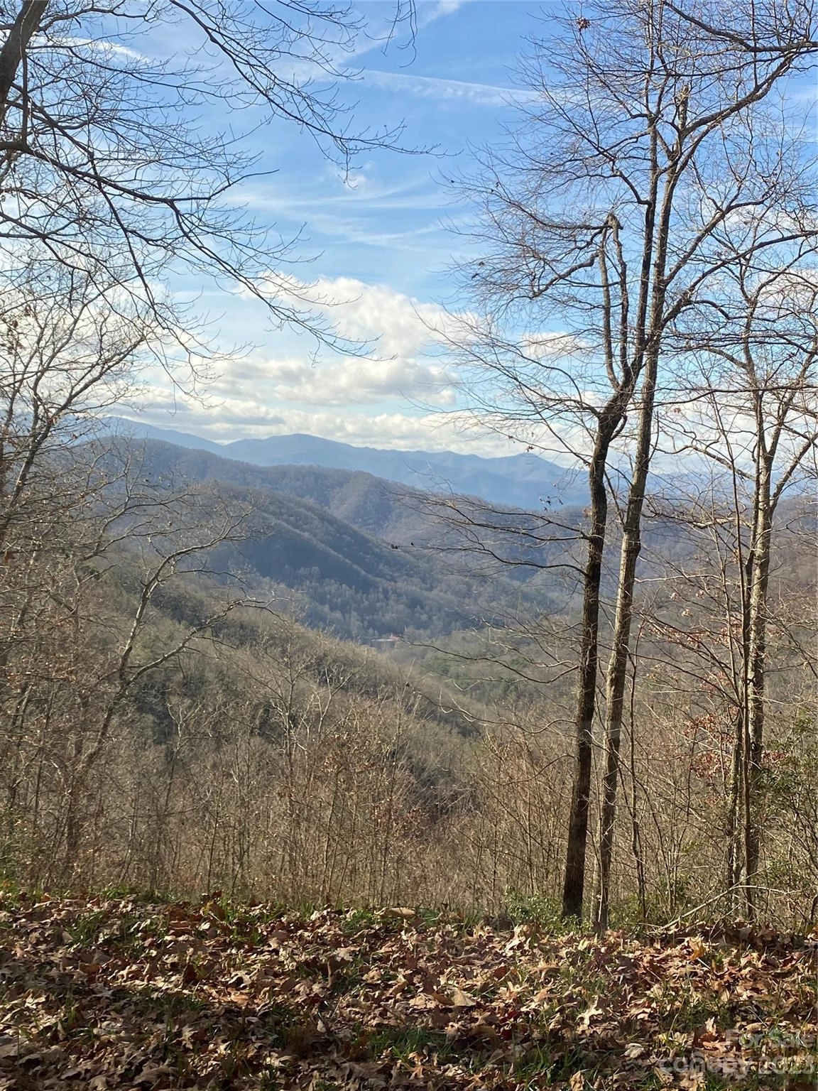 0 Hickory Nut 62 Trl Unit 62  