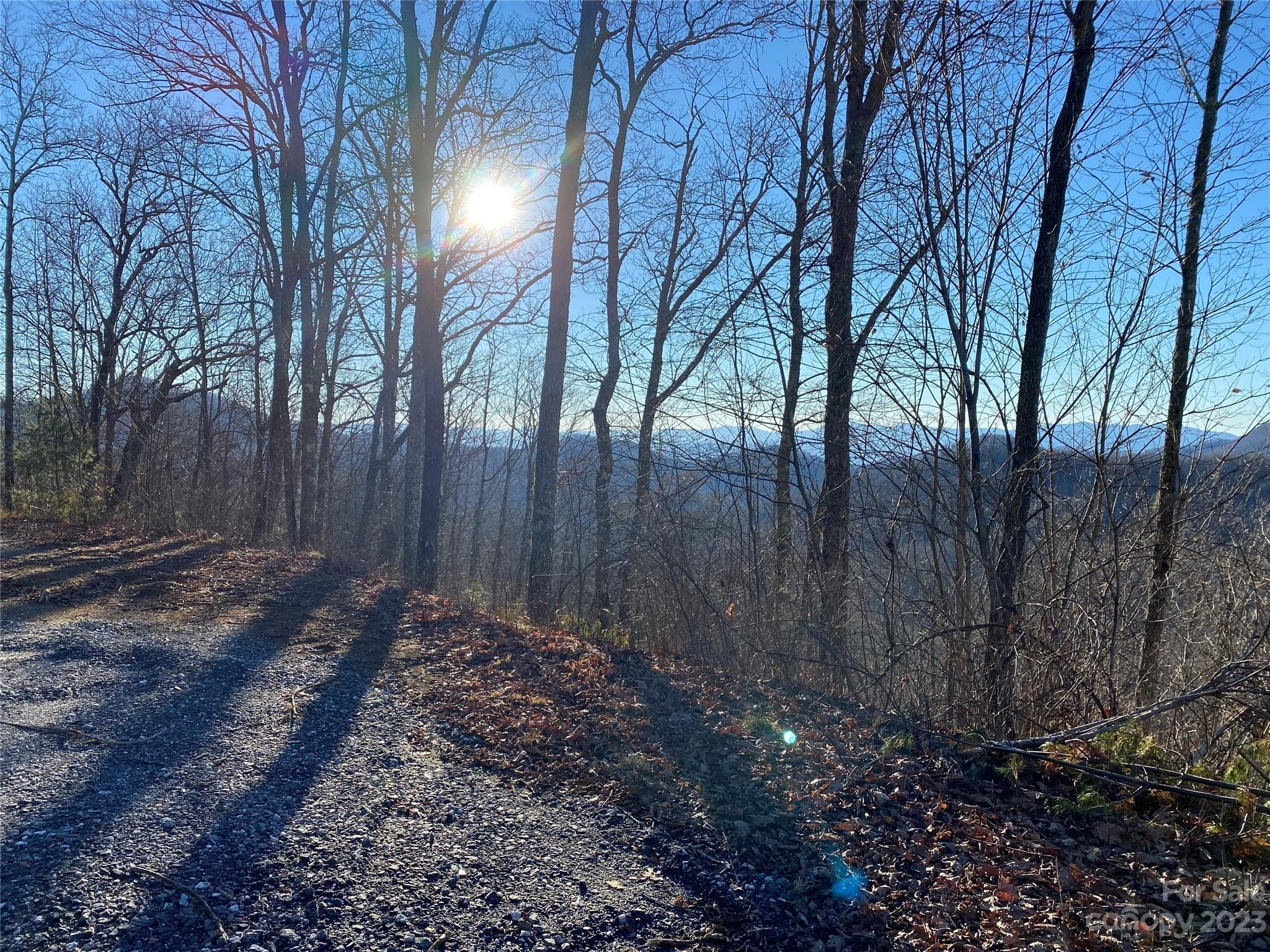 0 Hickory Nut 63 Trl Unit 63  