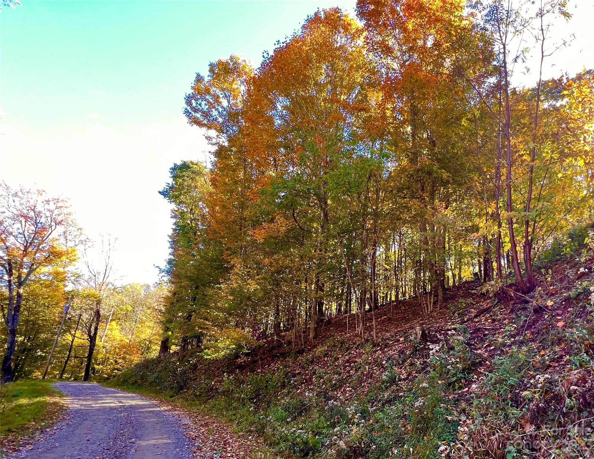 554 Flame Azalea 112 Ln Unit 112  