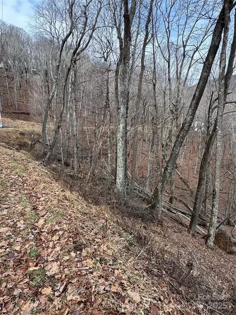 554 Flame Azalea 112 Ln #112, Mars Hill, NC 28754