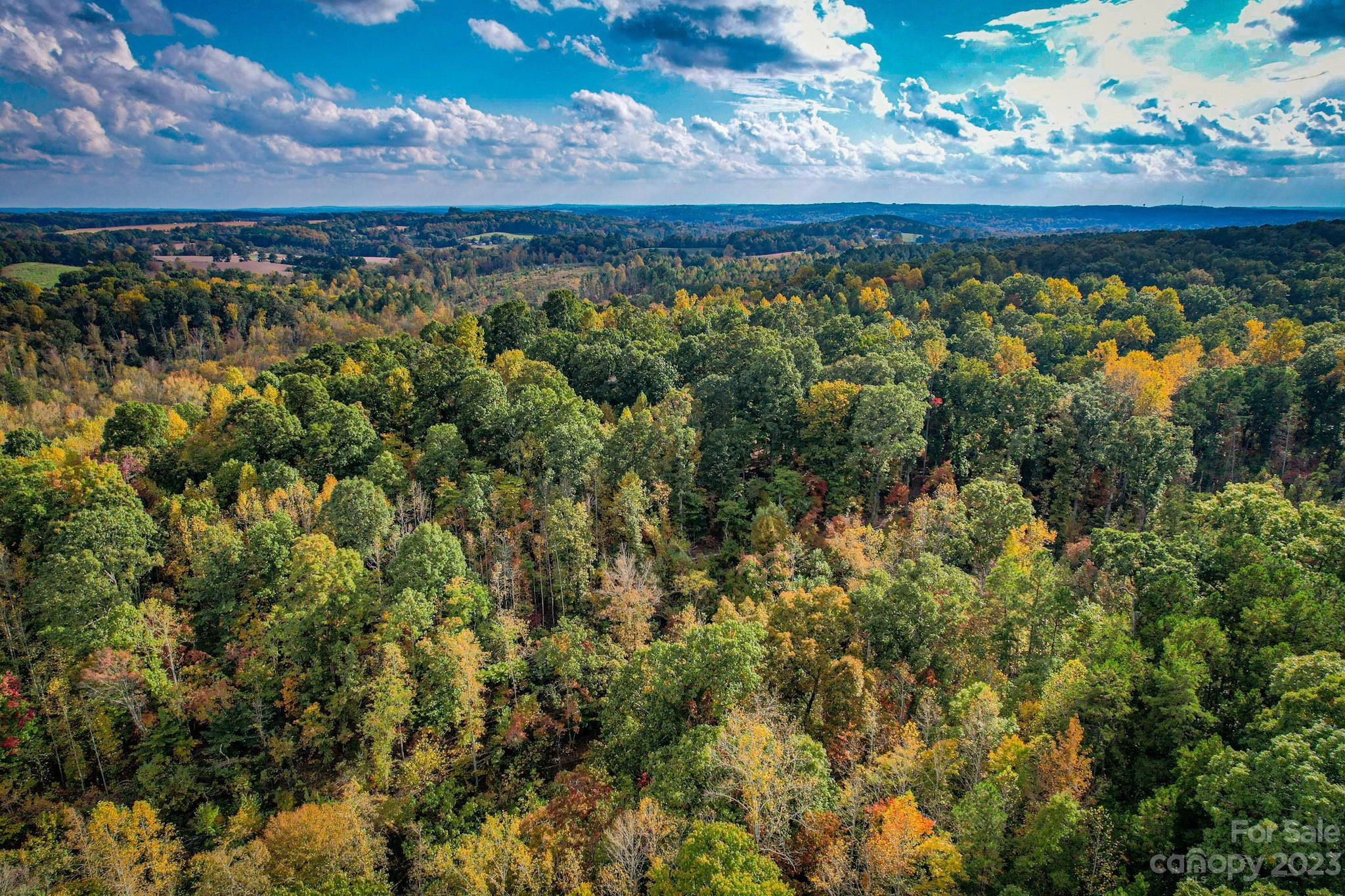 28776 Flint Ridge 4 Rd Unit 4  