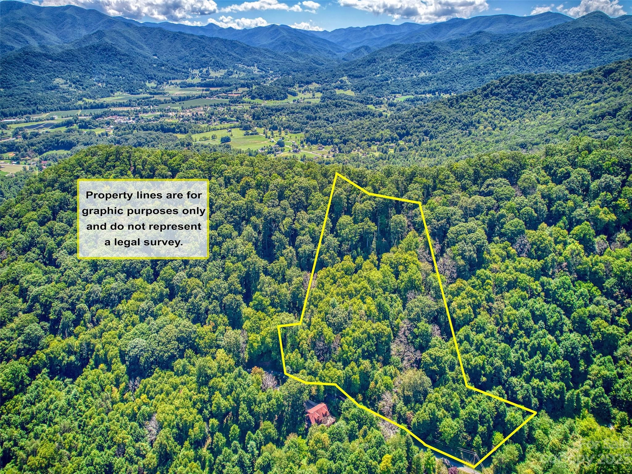 00 Yellow Locust 16 Dr Unit 16  