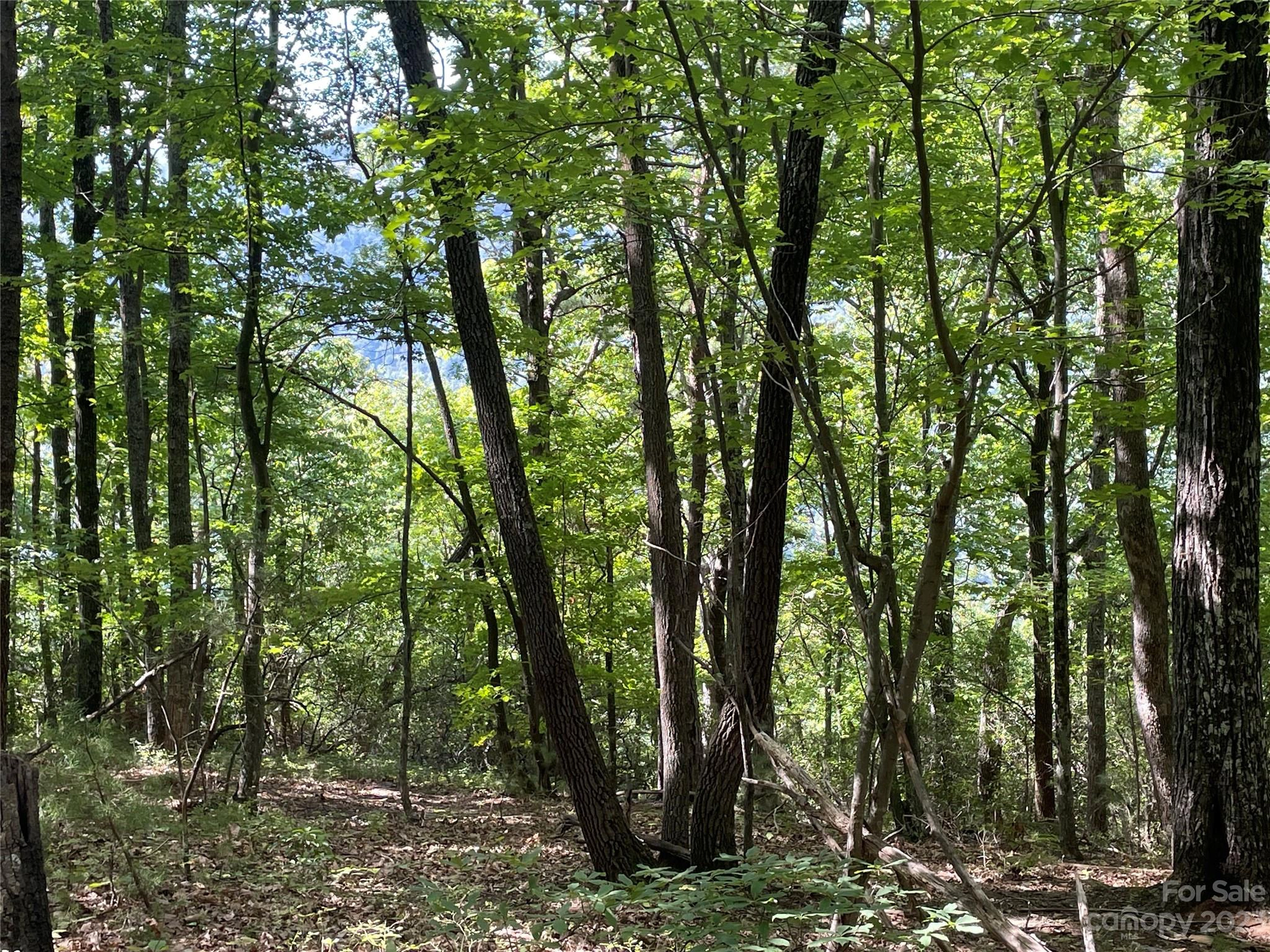 00 Kens Rock 20 Rd Unit 20  