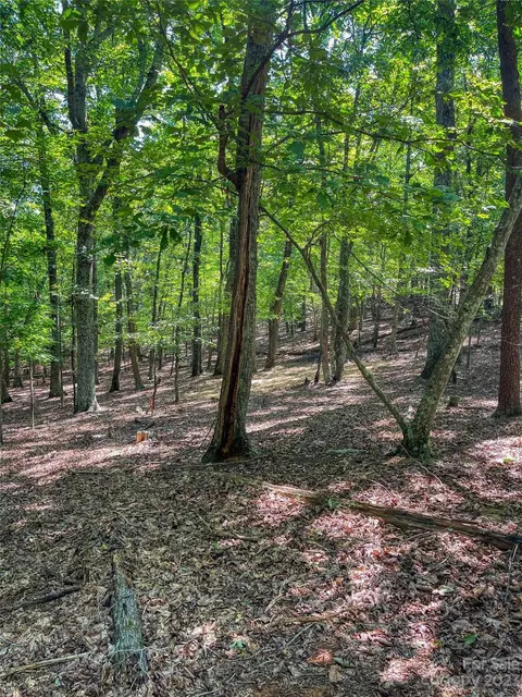 805 Sierra Trace Rd, Denton, NC 27239 photo 8