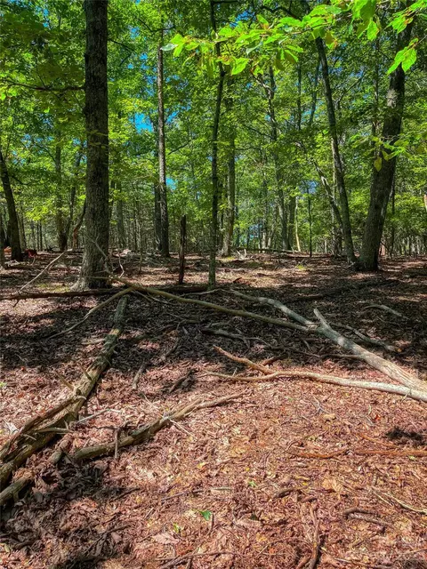 805 Sierra Trace Rd, Denton, NC 27239 photo 9