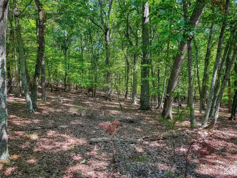805 Sierra Trace Rd, Denton, NC 27239 photo 6