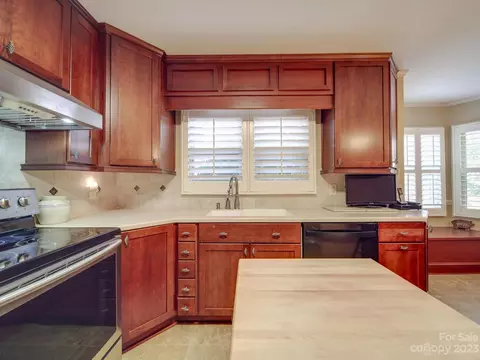 107 Wheaton Ct, Salisbury, NC 28147 photo 12