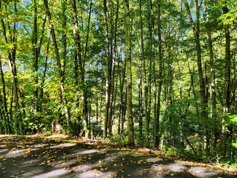 00 Loblolly C7 Way #C7, Maggie Valley, NC 28751
