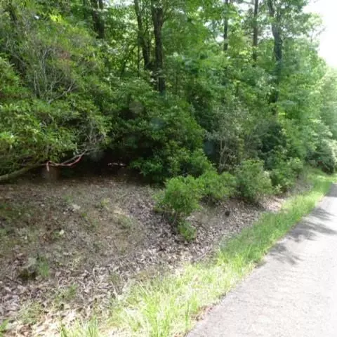 17 Mountain View Drive #17, Lowgap, NC 27024