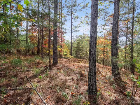 00 River Walk 18 Ln #18, Mill Spring, NC 28756