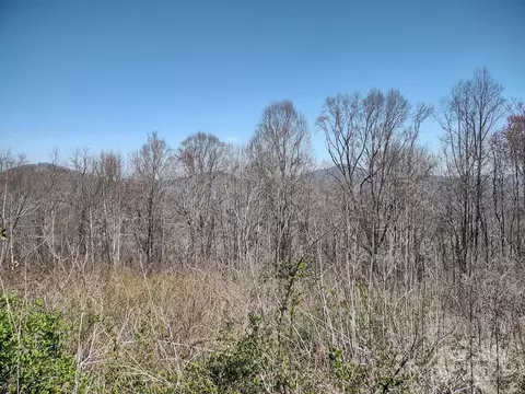 000 Morning Mist Lot 13 Ln #LOT 13, Waynesville, NC 28785