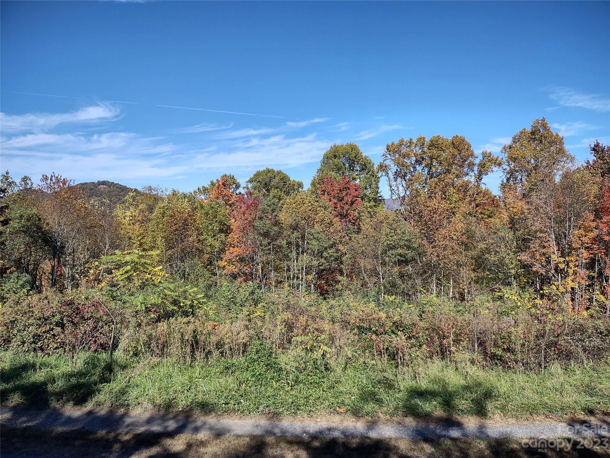 000 Morning Mist Lot 13 Ln Unit Lot 13