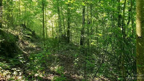 Caney Fork Road, Cullowhee, NC 28723 photo 7