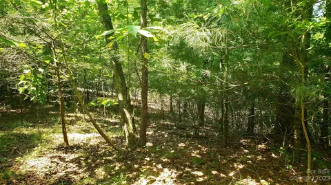 Caney Fork Road, Cullowhee, NC 28723 photo 6