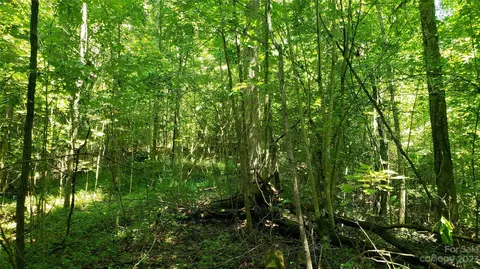 Caney Fork Road, Cullowhee, NC 28723 photo 4