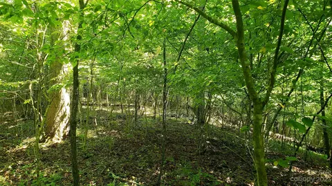Caney Fork Road, Cullowhee, NC 28723 photo 3